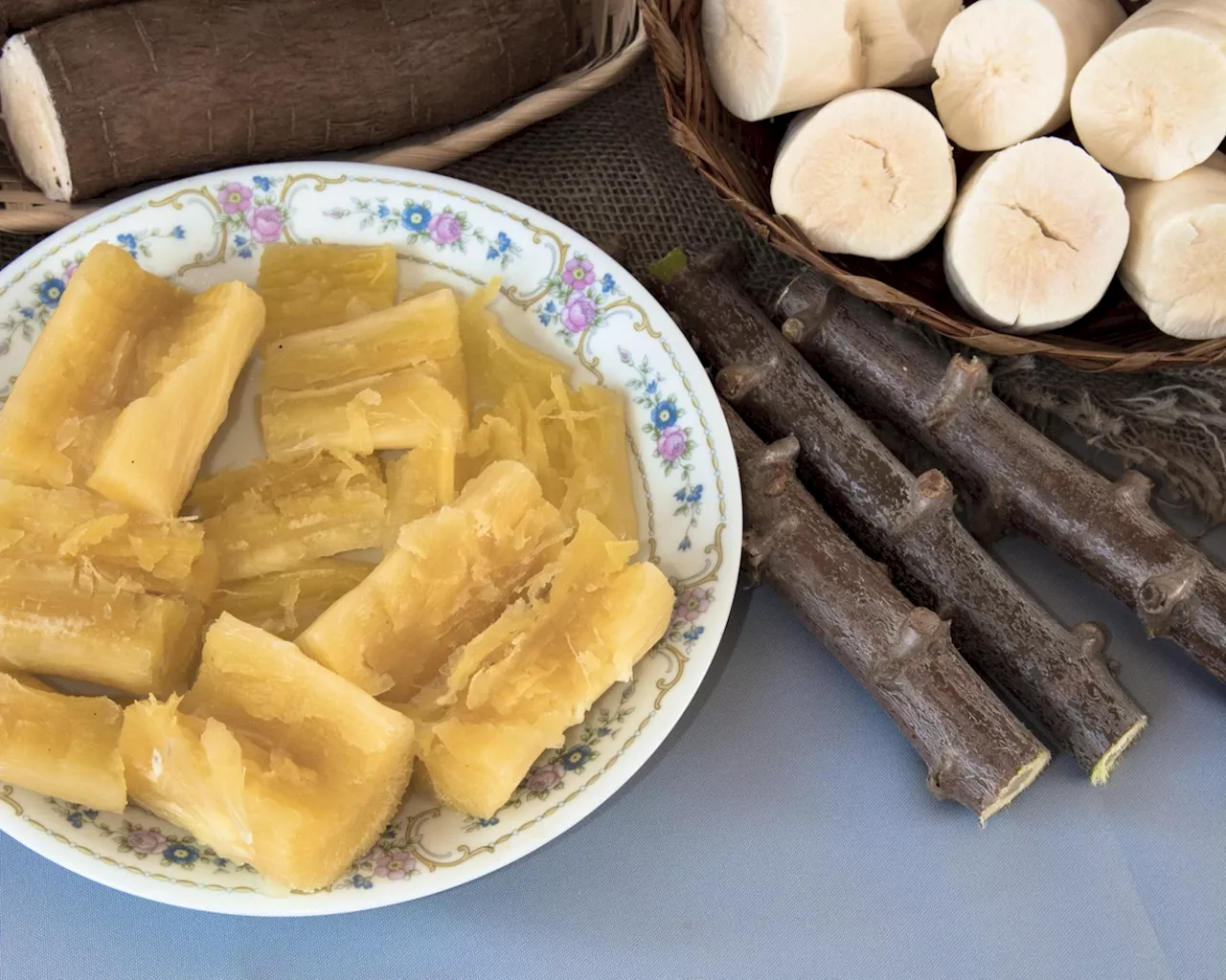 Sucesso da Tapioca e Pão de Queijo Impulsiona Produção de Mandioca