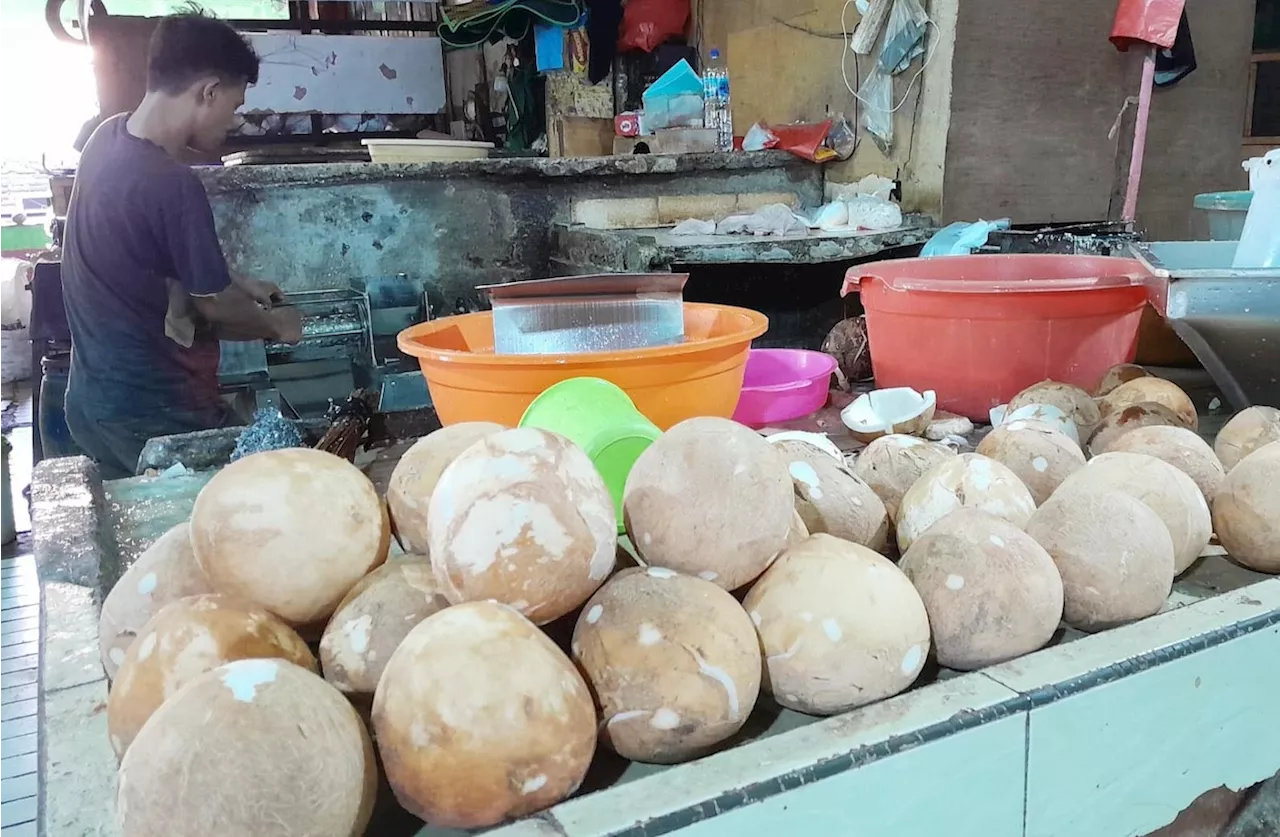 Kelangkaan Kelapa Bikin Harga Melonjak di Pasar Tradisional Jakarta