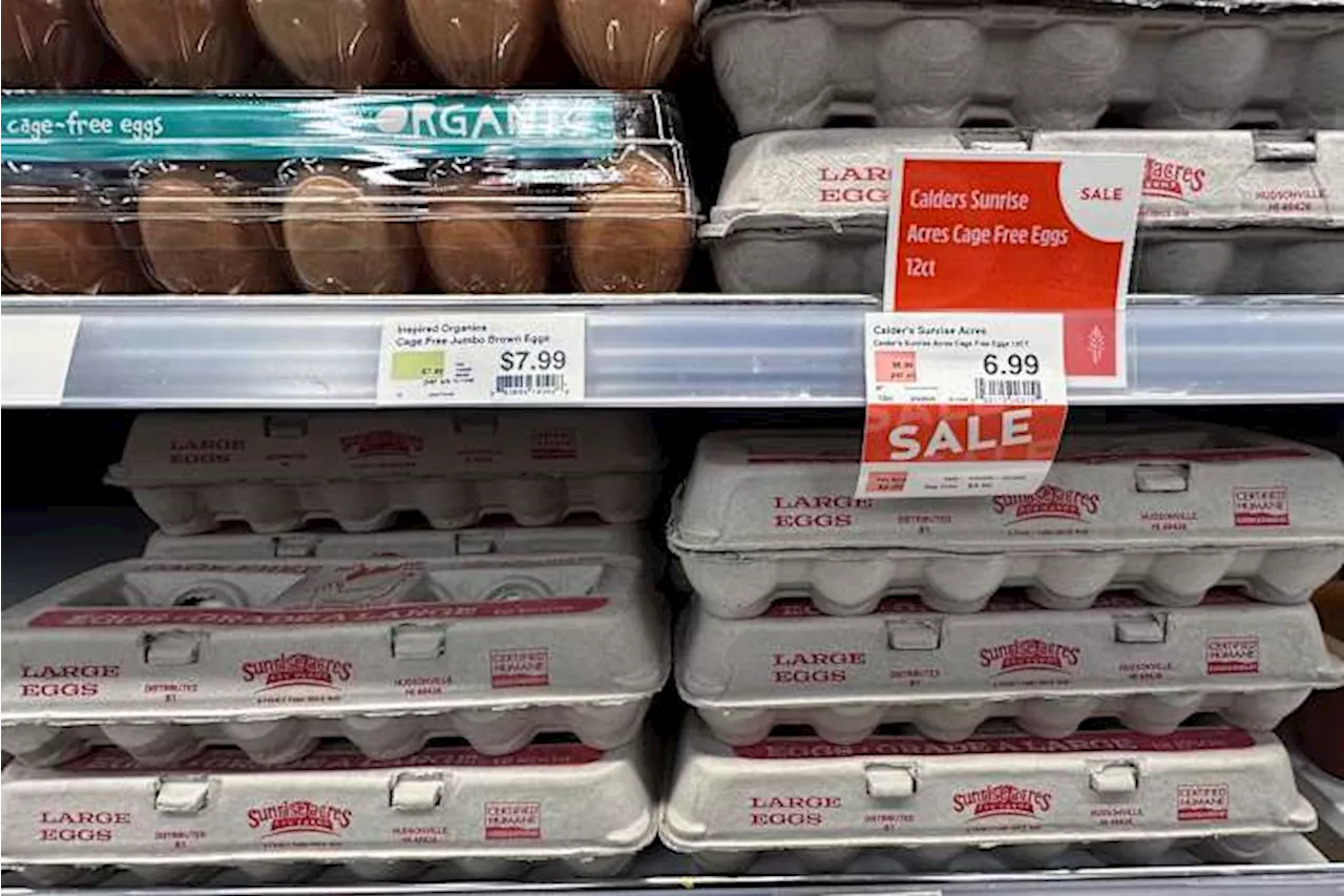 Egg Shortages Grip US, Retailers Impose Purchase Limits