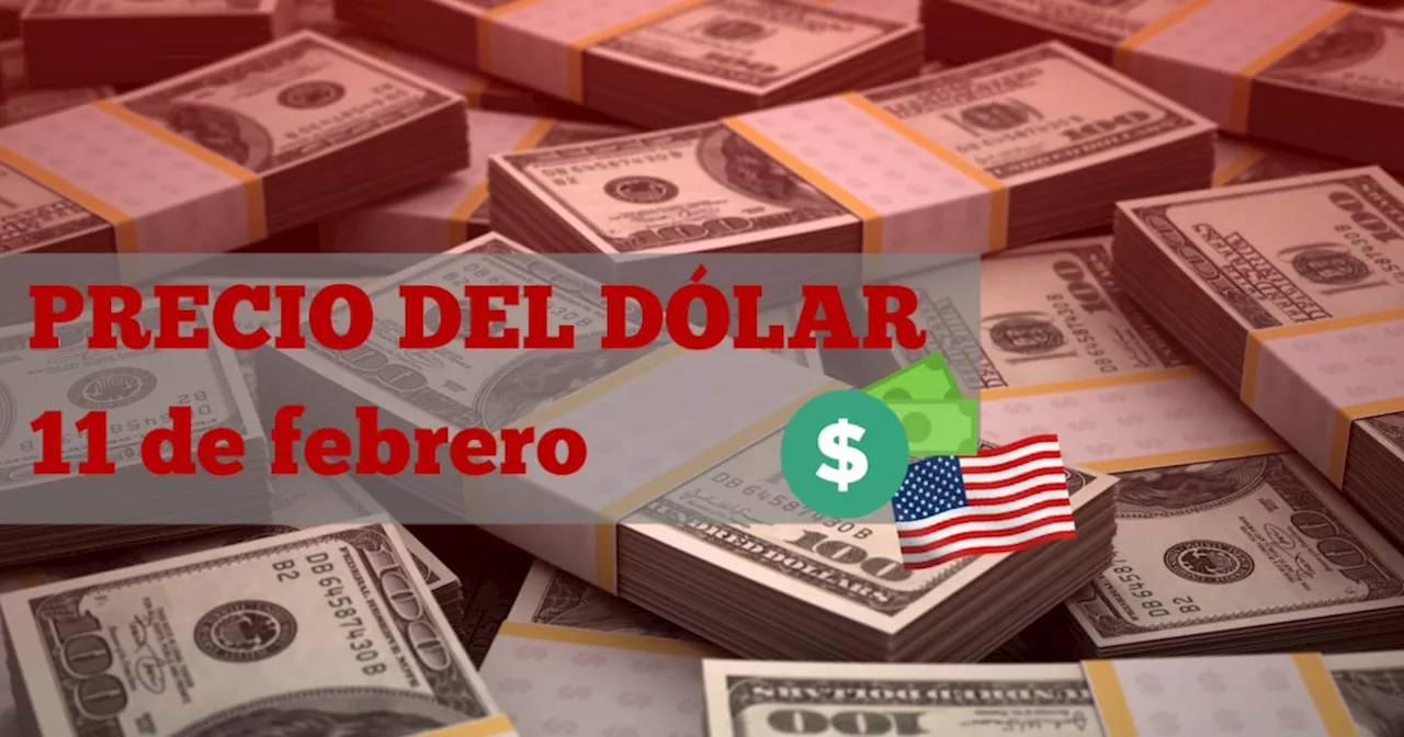 Este es el precio del dólar HOY martes 11 de febrero de 2025