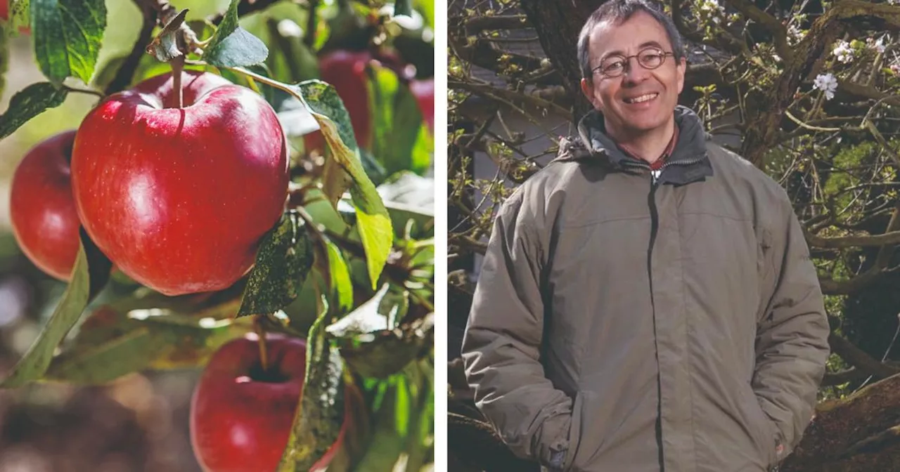 Arbres fruitiers, taille, prévention des maladies... créez votre verger avec succès grâce à notre expert jardinier