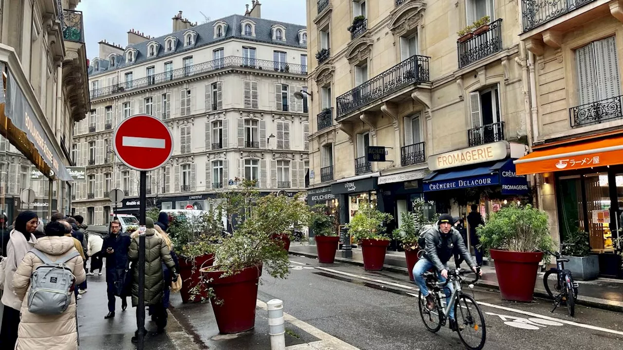 Rue piétonne à Paris : joie ou déception ?