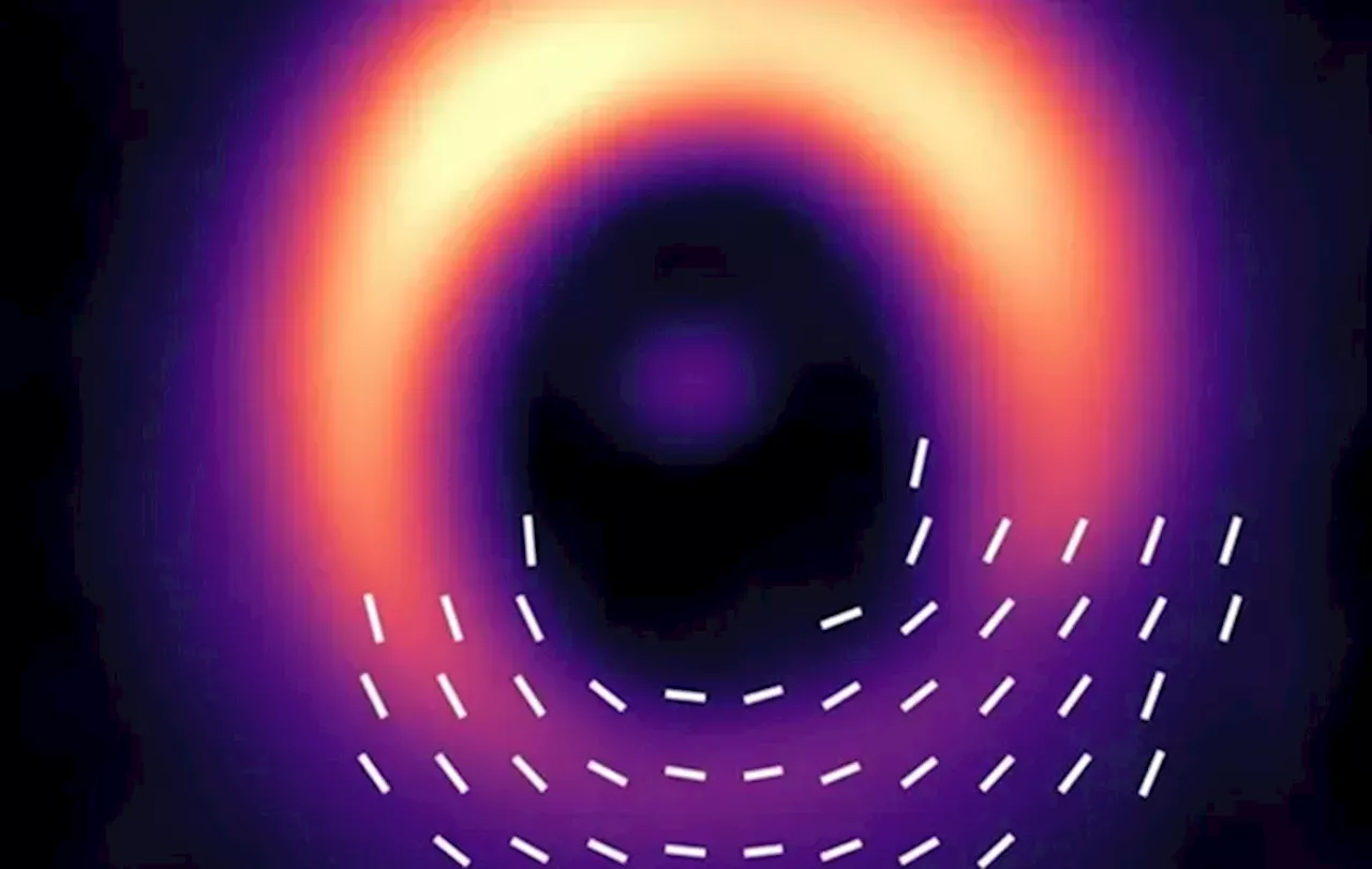 ALMA Mengungkap 'Sidik Jari' 3D Medan Magnet di Cakram Protoplanetary