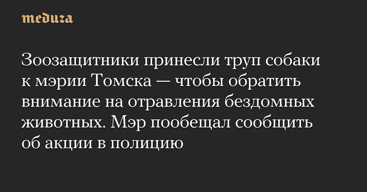 Активисты привели труп собаки к мэрии Томска, чтобы обратить внимание на отравления бездомных животных