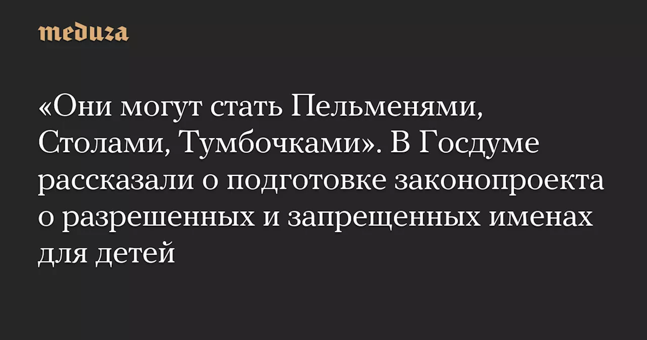 «Они могут стать Пельменями, Столами, Тумбочками». В Госдуме рассказали о подготовке законопроекта о разрешенных и запрещенных именах для детей