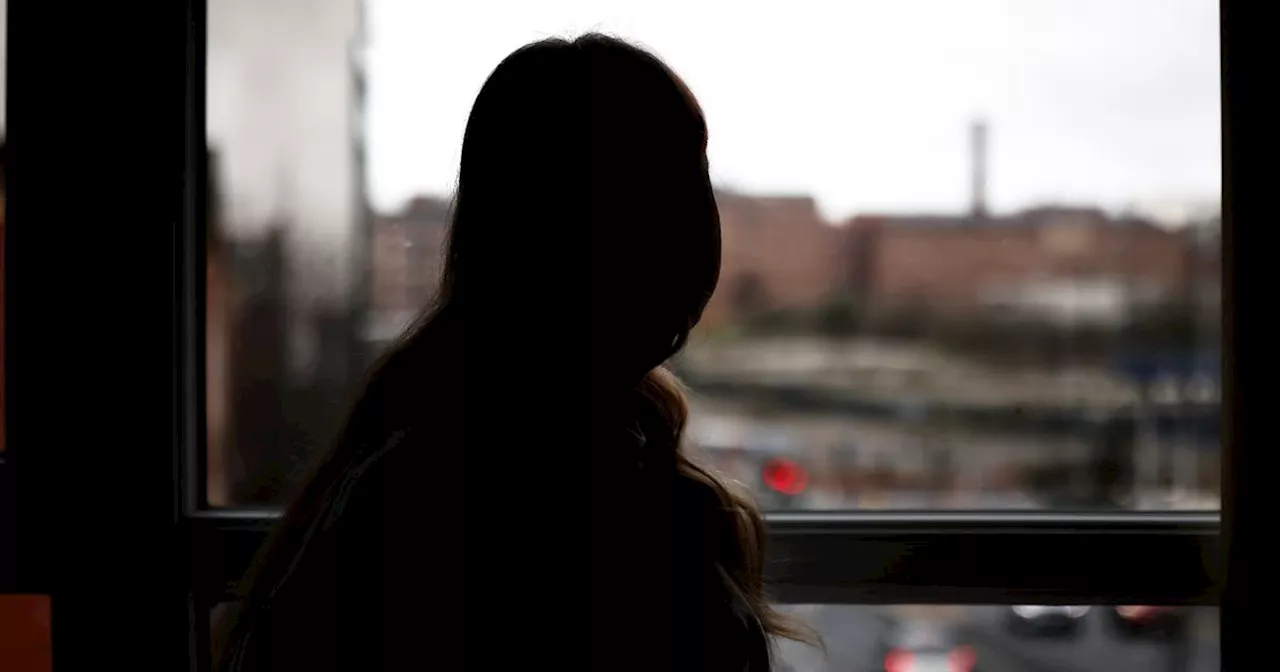 Domestic Abuse Protection Orders: A New Hope for Victims