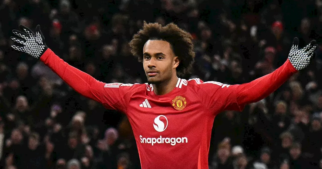 Joshua Zirkzee: Manchester United's Unlikely Cult Hero