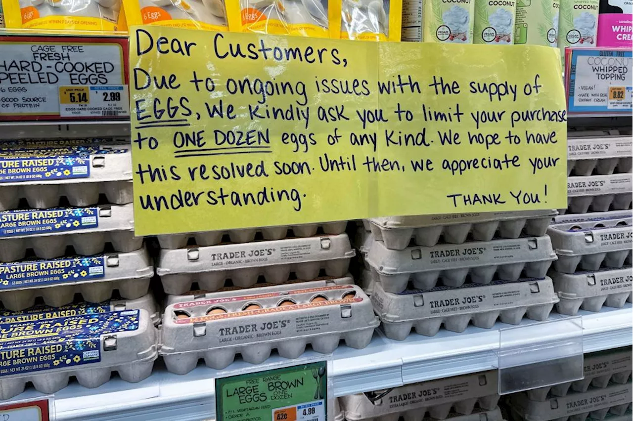 Grocery Stores Limit Egg Purchases Amidst High Prices