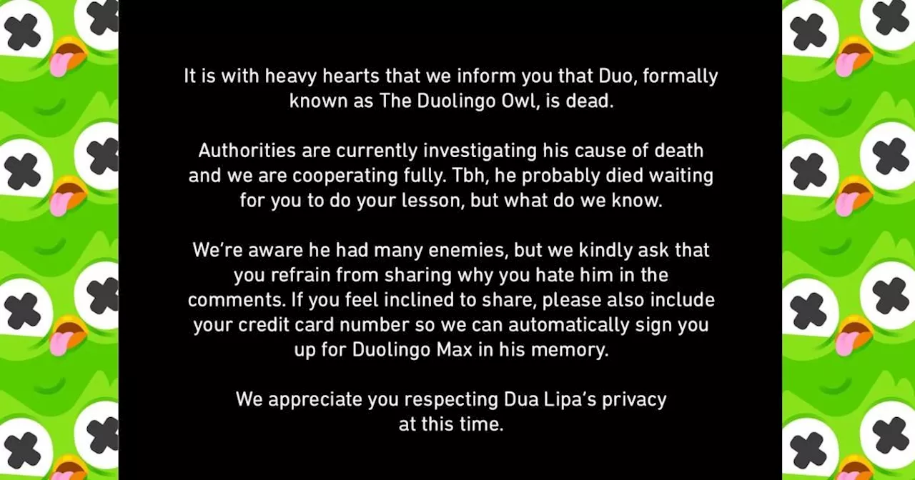 Duolingo Owl Dead: Language Learning App Announces Mascot's Passing in Bizarre Statement