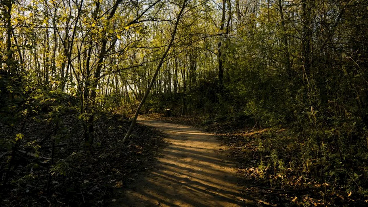 Viol agression à Nersac : une adolescente menacée à l'arme blanche