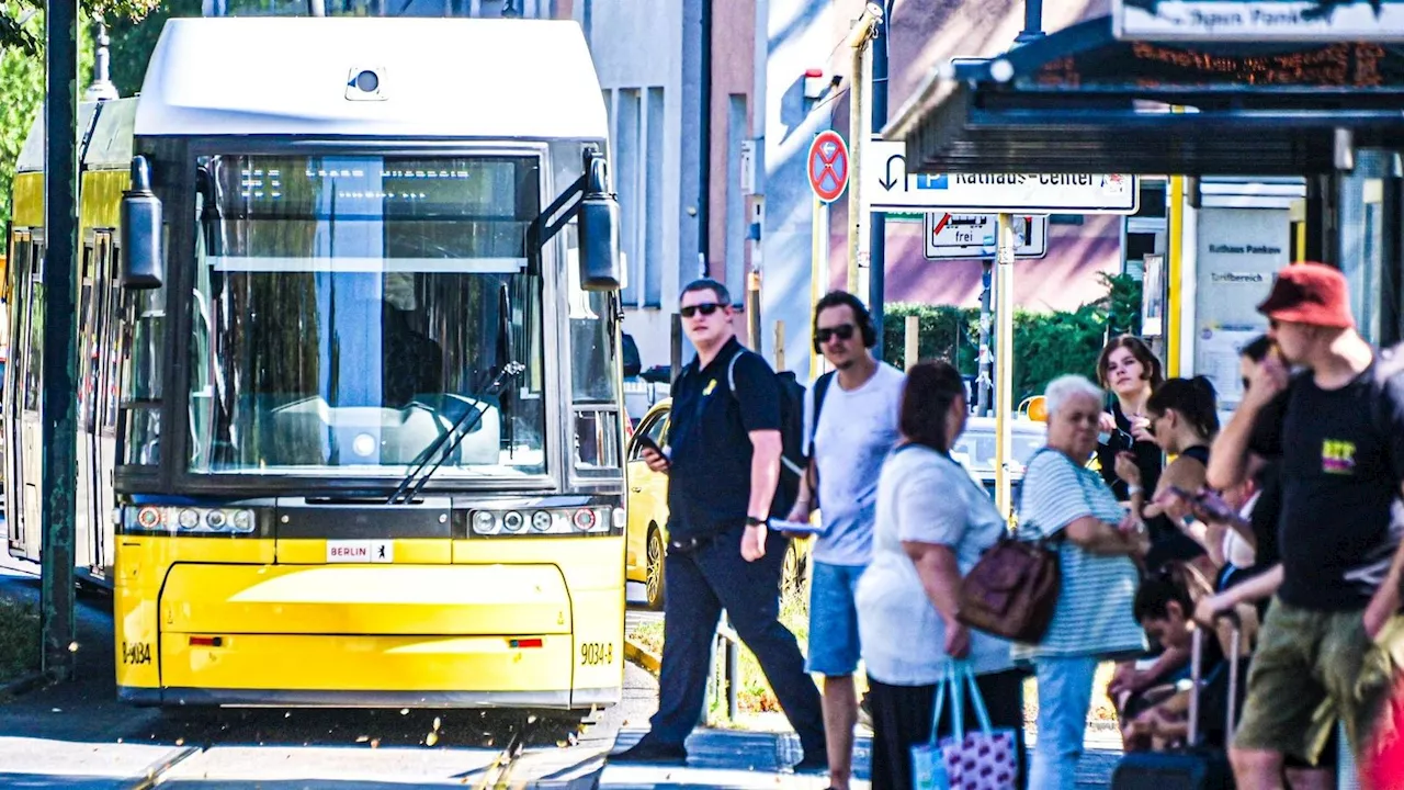 Straßenbahnstrecken verlängert - Elisabeth-Aue erhält optimale ÖPNV-Anbindung