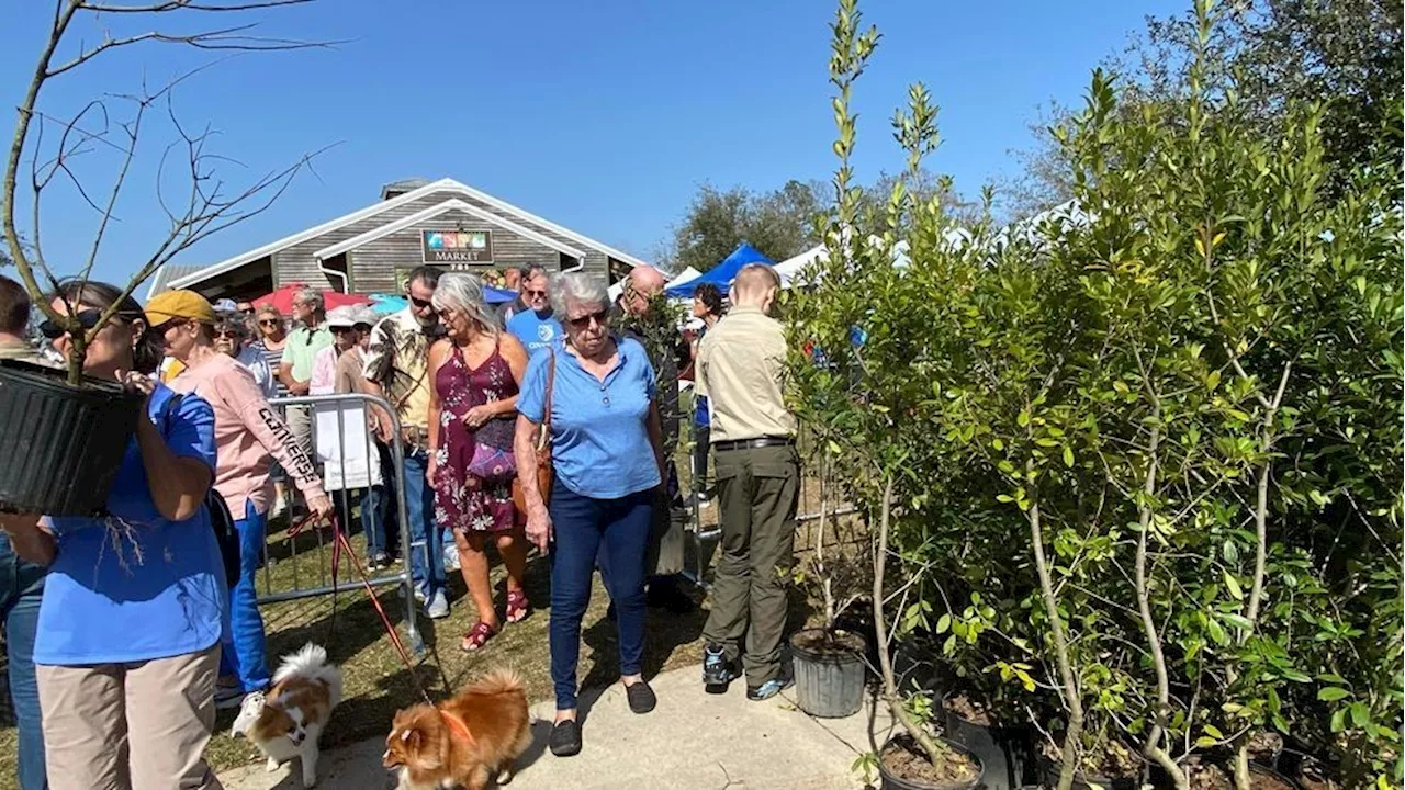 Foley to Celebrate Arbor Day with Tree Giveaway and Memorial Dedications