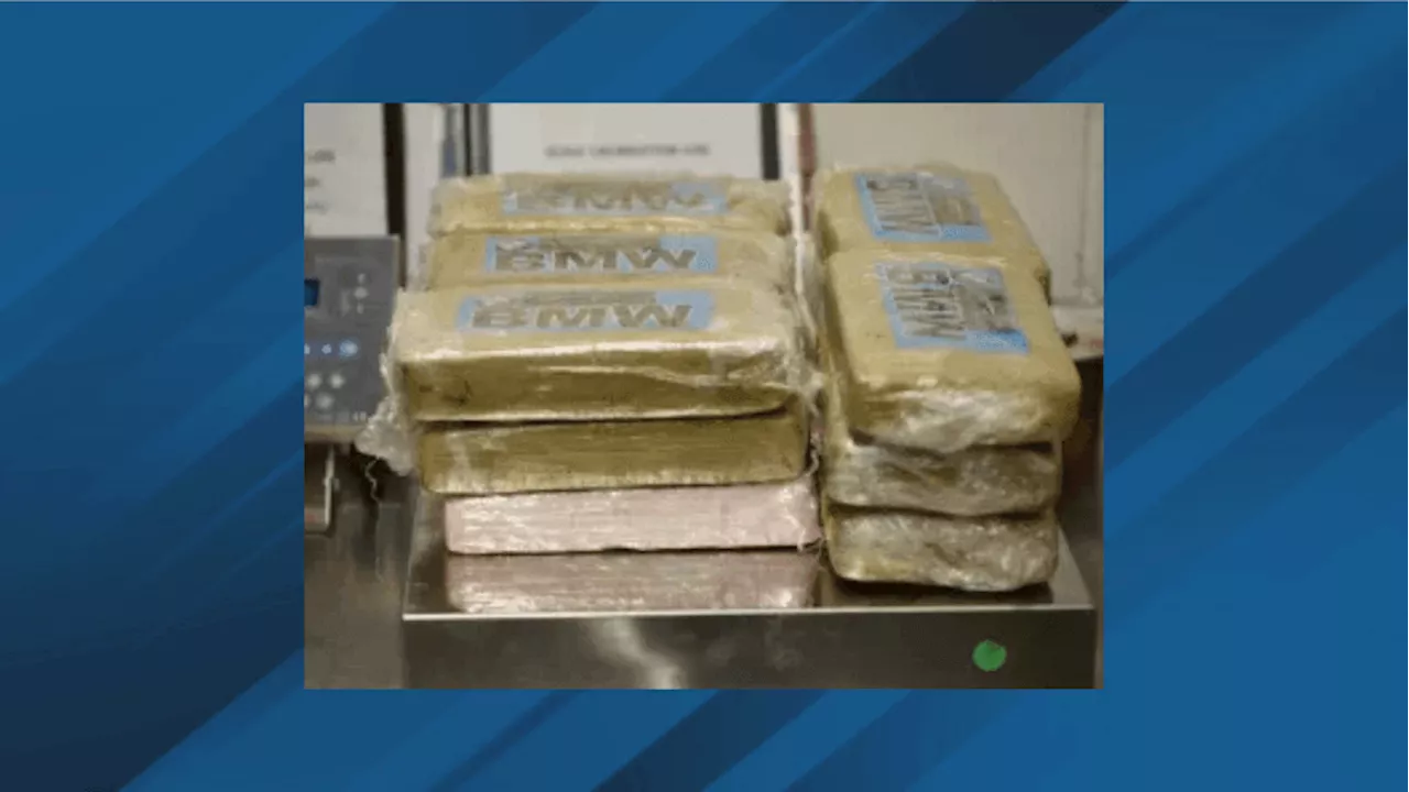 CBP Seizes Nearly Half a Million Dollars in Cocaine at Laredo Port of Entry