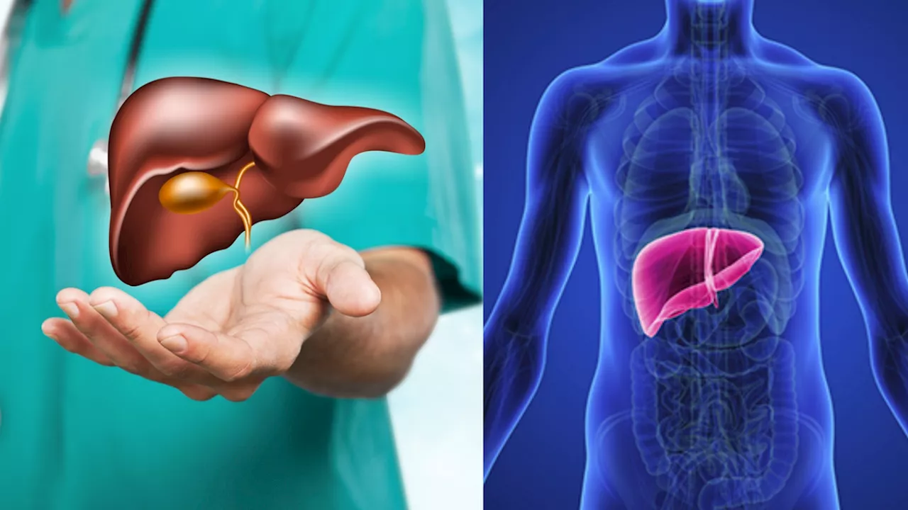 Liver Health Tips : लिवर को दुरुस्त रखने में फायदेमंद हो सकती हैं ये 3 जड़ी-बूटियां, ये है इस्तेमाल का तरीका