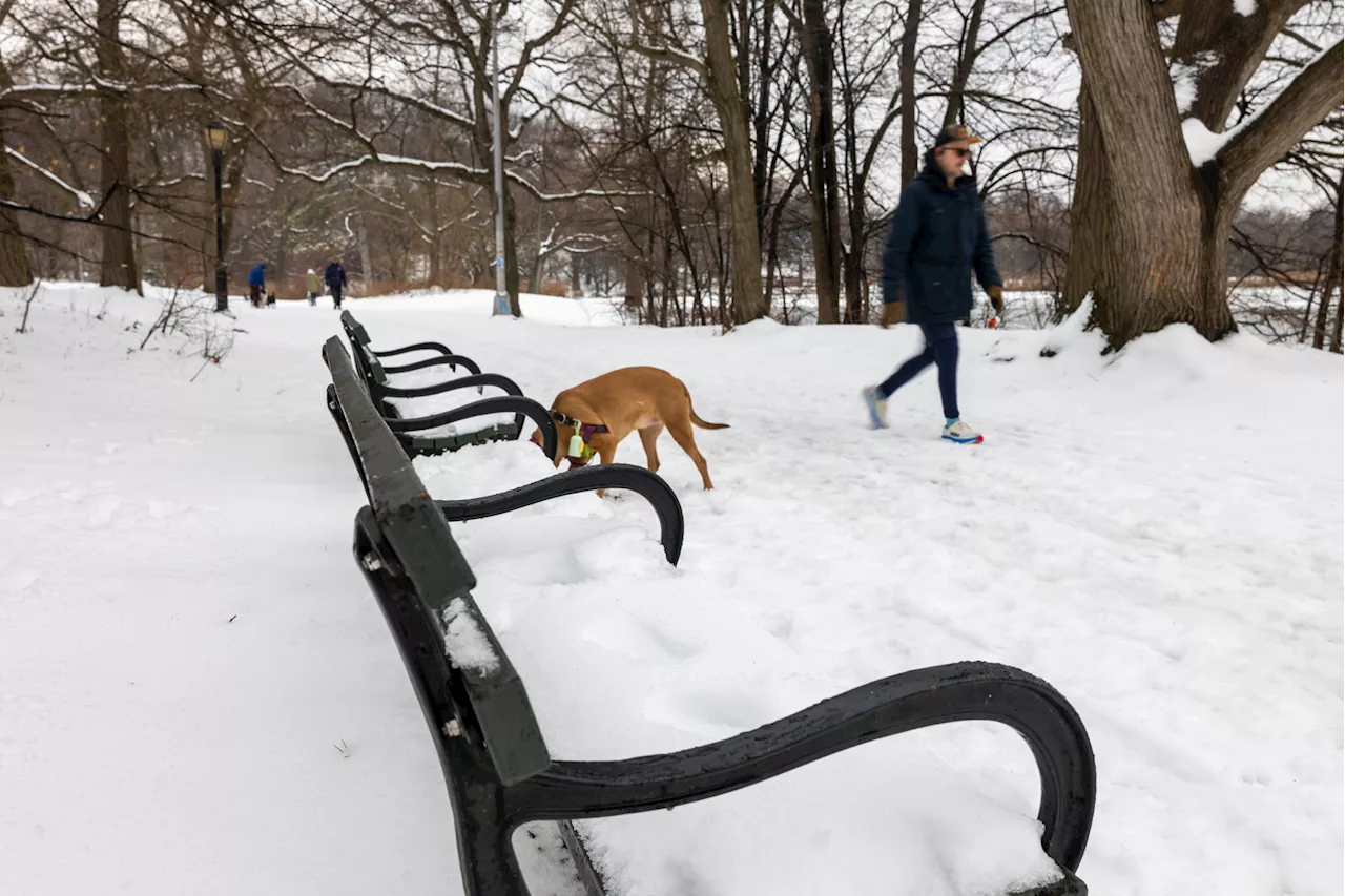 Winter Storm Warnings Issued for 11 States