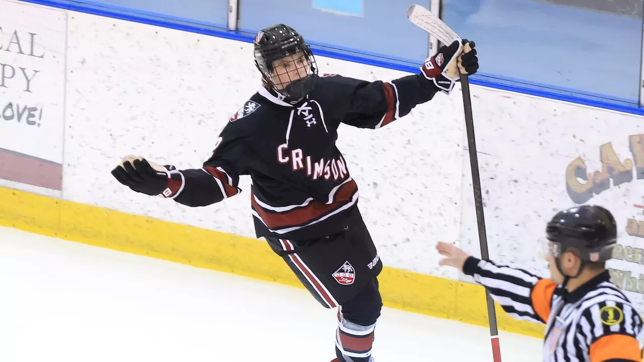 Boys hockey photos: Mennen Cup Final - No. 12 Mo-Beard vs. Chatham, Monday, Feb. 10