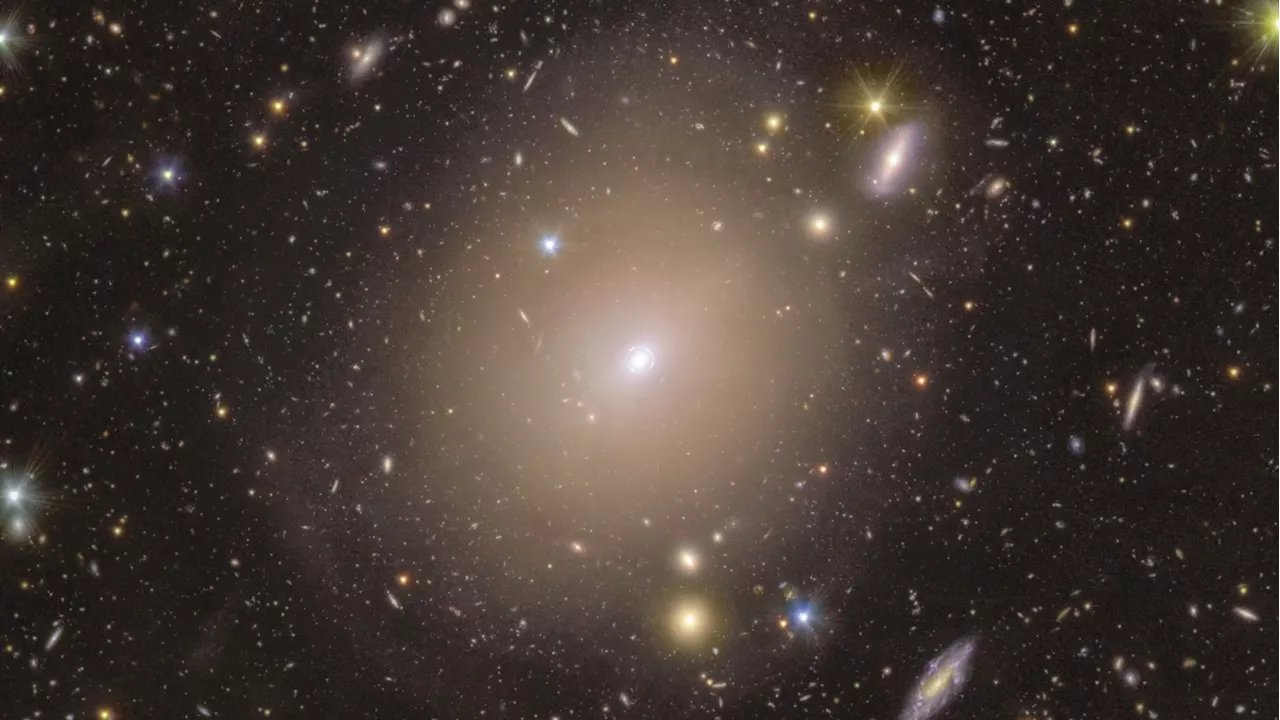 Euclid Telescope Captures Rare Ring of Light Around Distant Galaxy