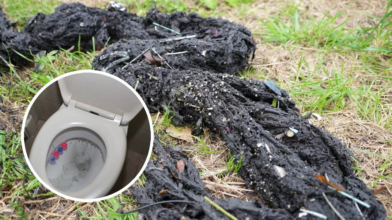 Verbod op vochtige doekjes met plastic: 'We zijn er heel blij mee'