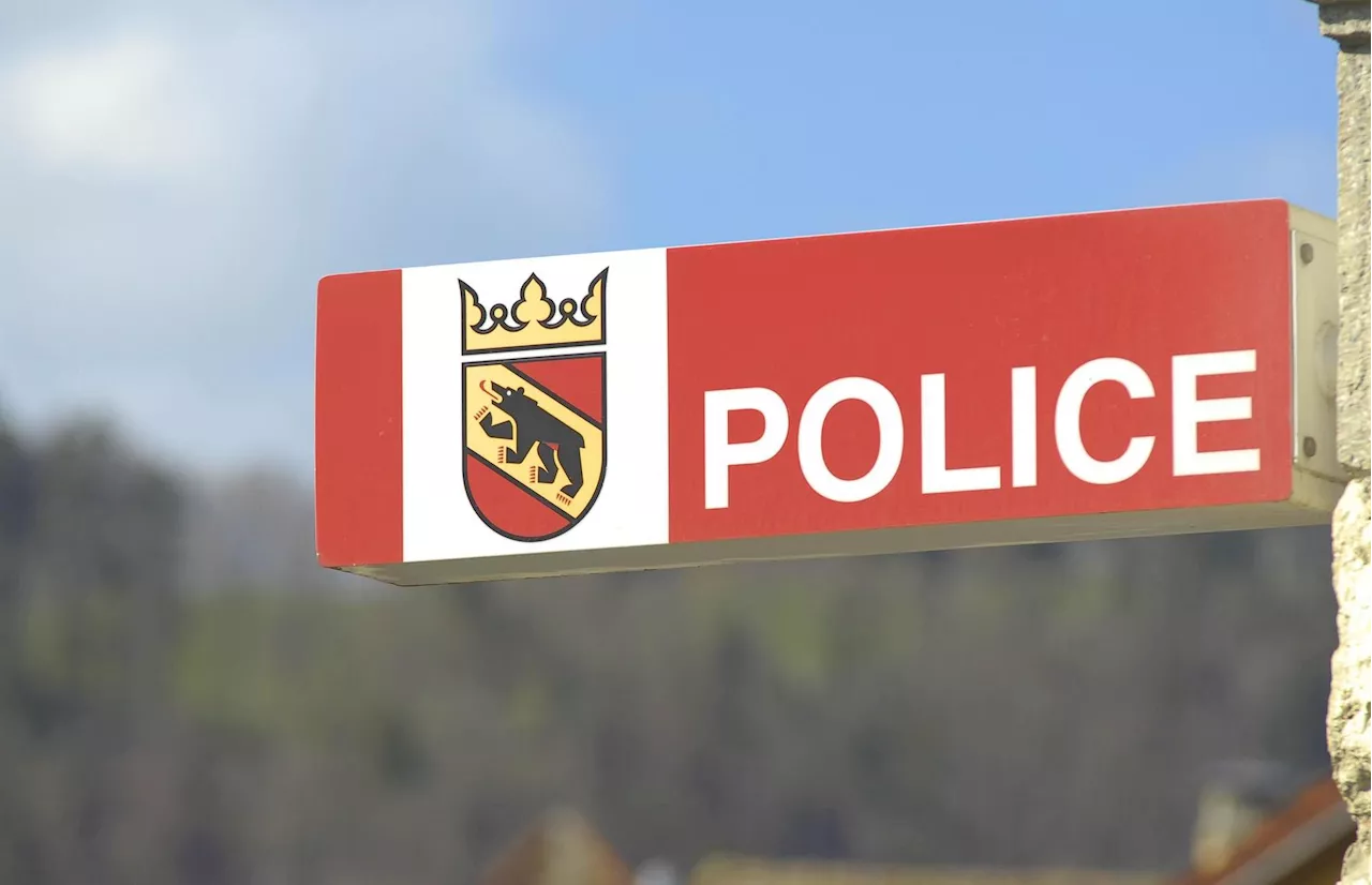 Kallnach BE: Brand in ehemaligem Tierpark – Ermittlungen beendet