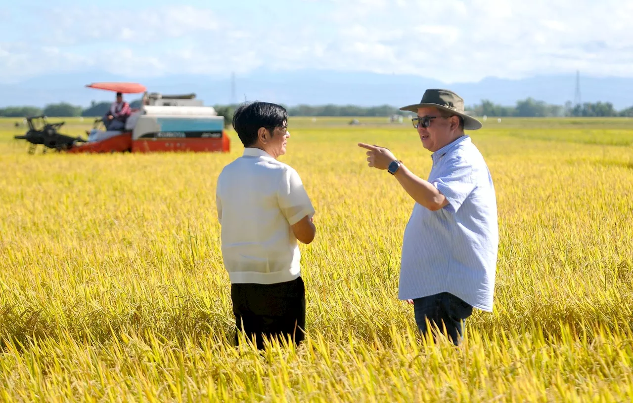 Agri chief Laurel counters critics: ‘I am here to manage the situation’