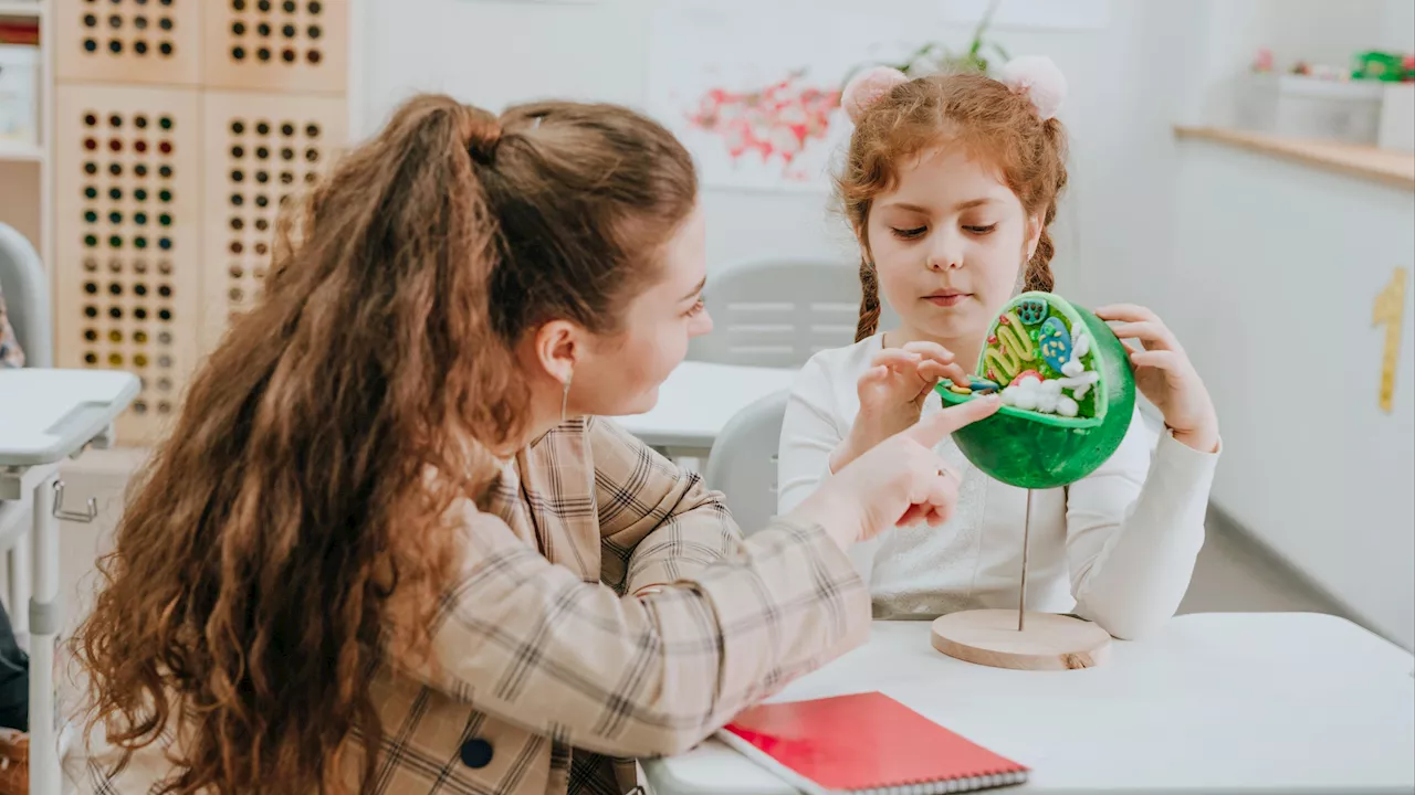 Un Decenio de Luchar por la Igualdad: Mujeres en la Ciencia