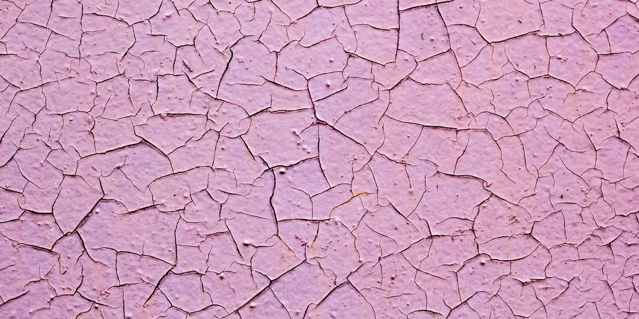 Dry Skin vs. Dehydrated Skin: How To Tell the Difference