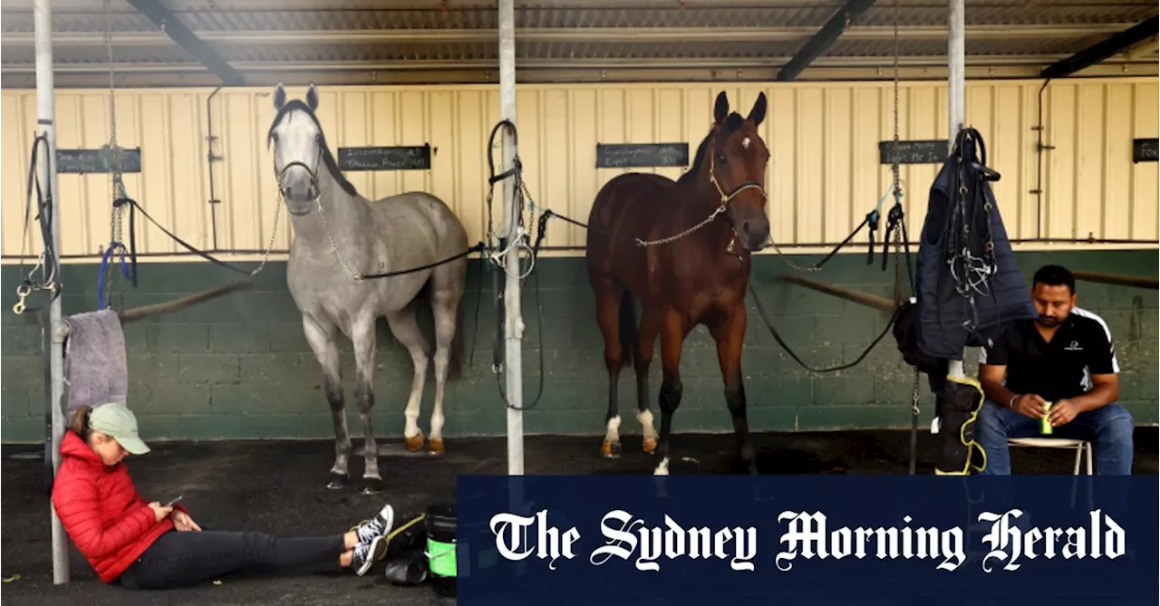 Horse Racing Preview: Warwick Farm and Randwick