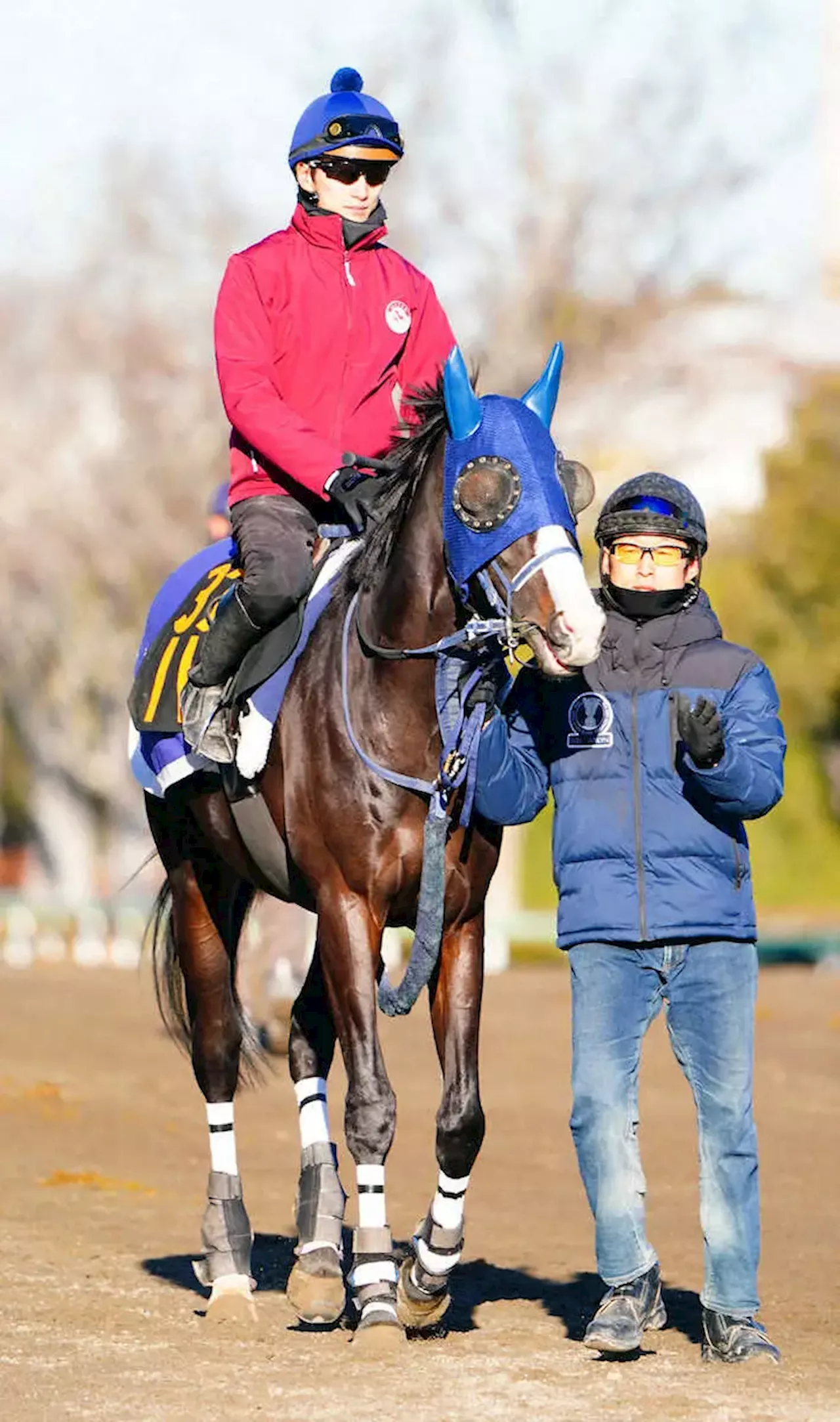 マスカレードボール、東京芝1800メートルで勝利へ