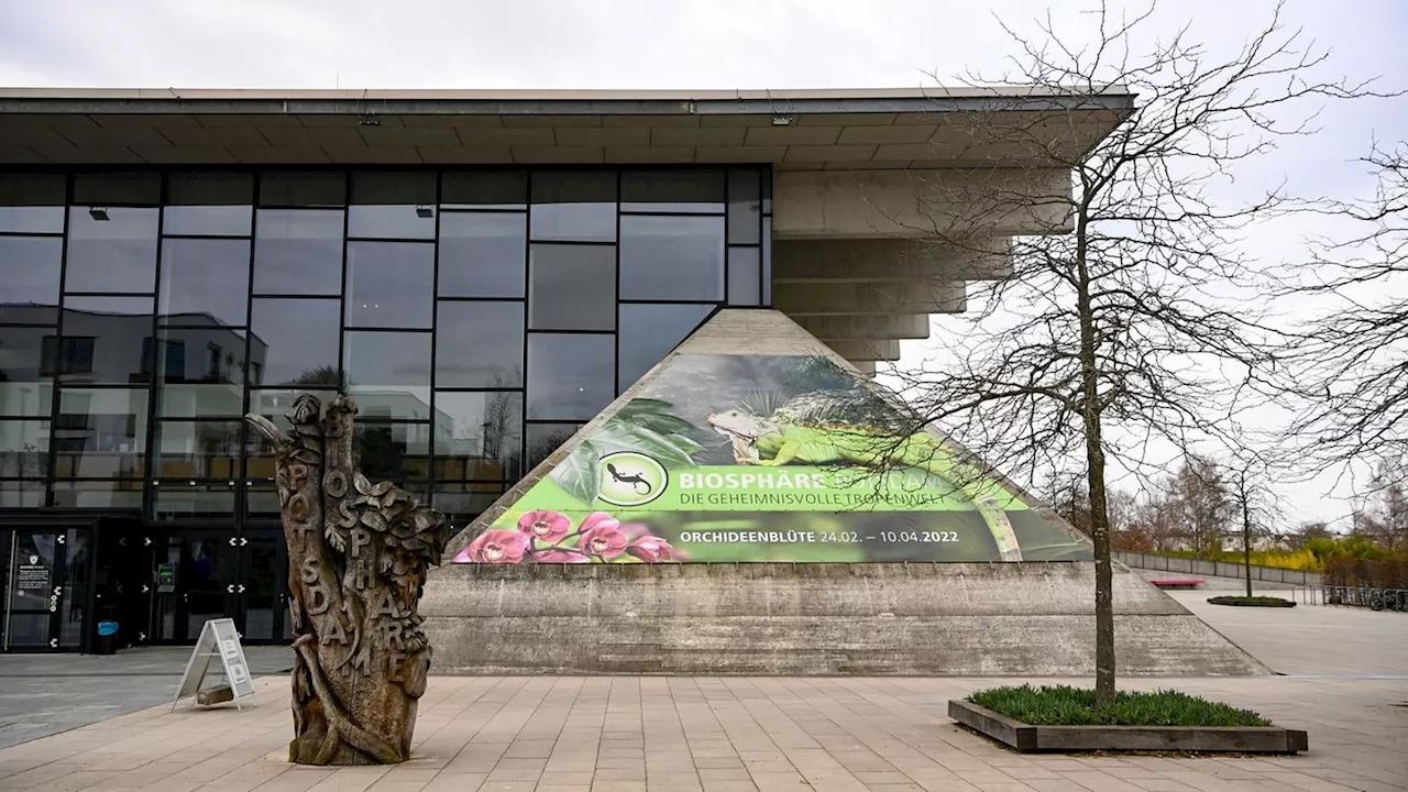 Zukunft ungewiss: Was wird aus der Biosphäre in Potsdam?