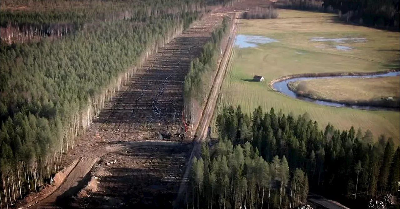 Regeringen ger grönt ljus för byggnation av Norrbotniabanan