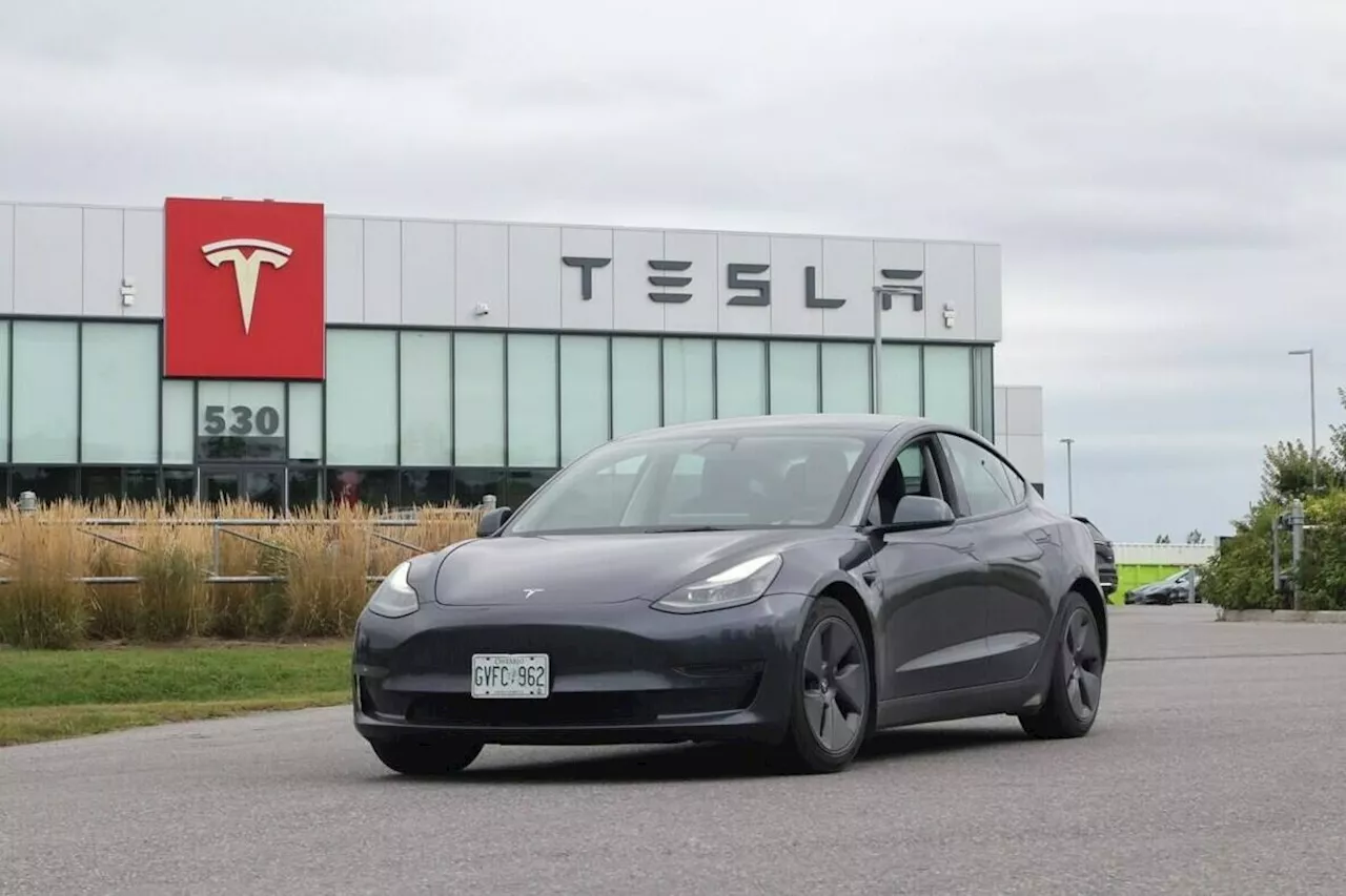 NDP Leader Wants 100% Tariff on Teslas During US Trade War