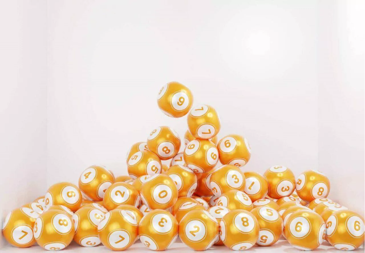 Daily Lotto Results for 11 February 2025