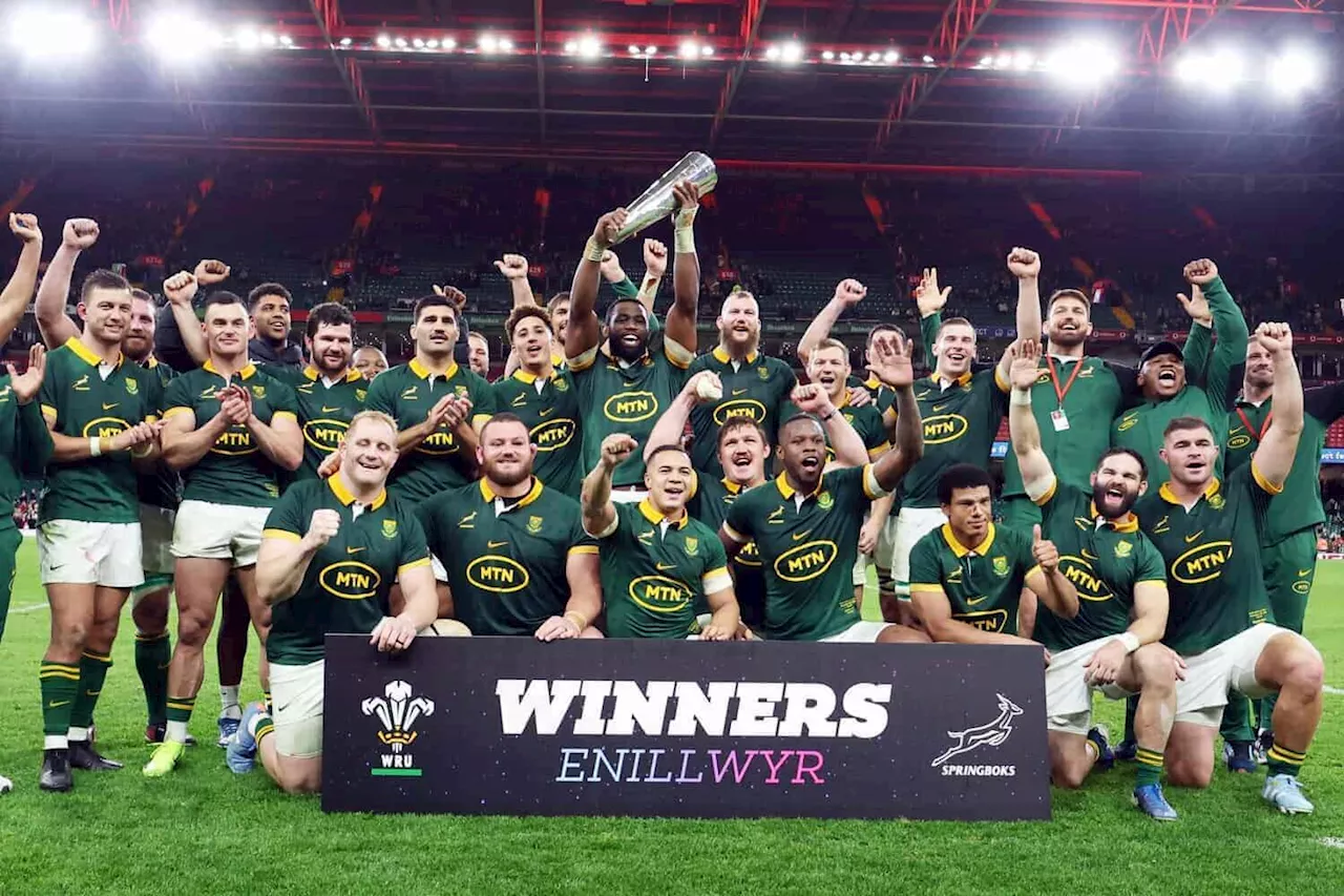 Springboks to Finish Rugby Championship Against Argentina at Twickenham