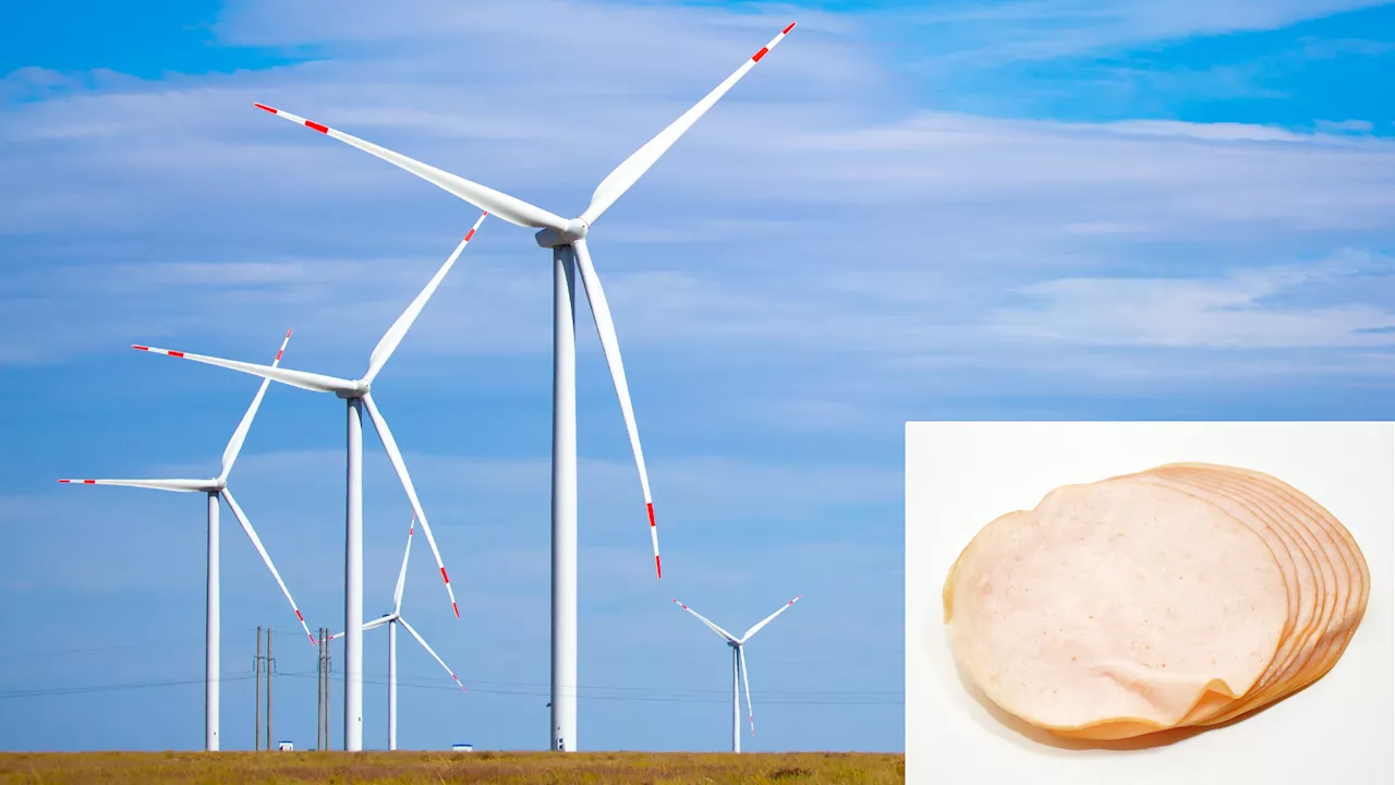 Poll: Americans Would Support Wind Power More if it Sliced Deli Meat