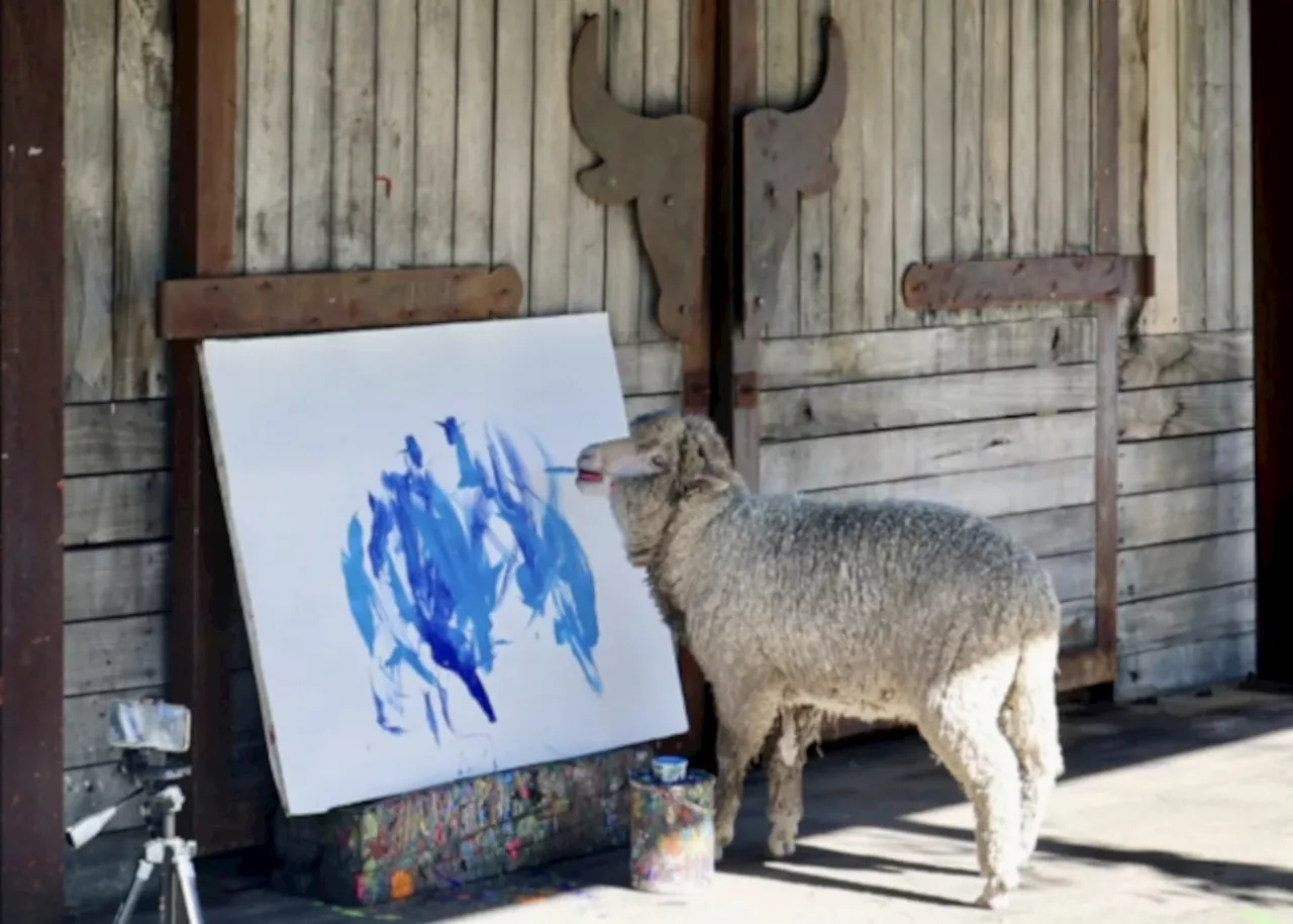 R1.2 Million Reward Offered for Missing Painting Sheep Baanksy