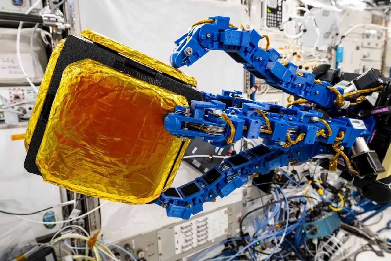 NASA's Robotic Hand: Clearing the Way for a Debris-Free Future