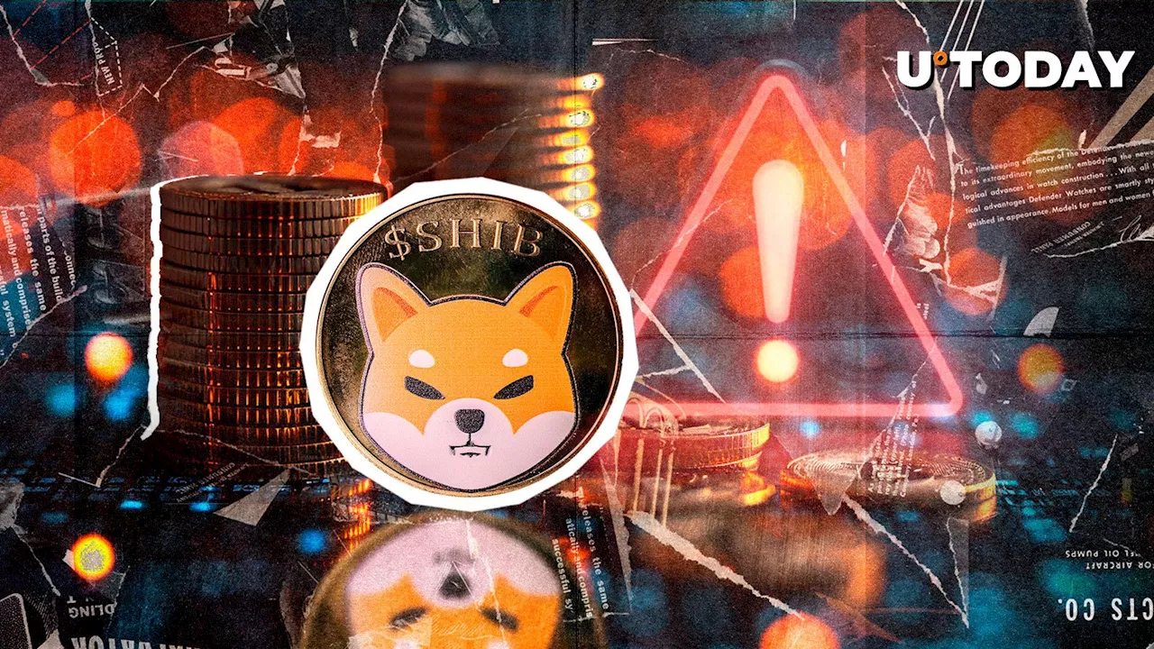 Shiba Inu (SHIB) Newcomers Warned of Scammers Exploiting Fake Contract Addresses