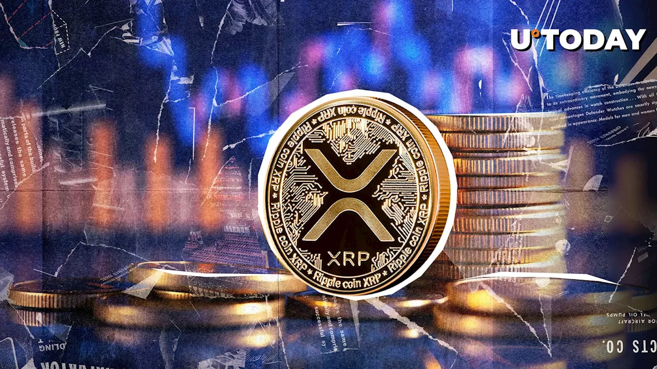 XRP Price Rebound: On-Chain Strength Hints at Potential Rally