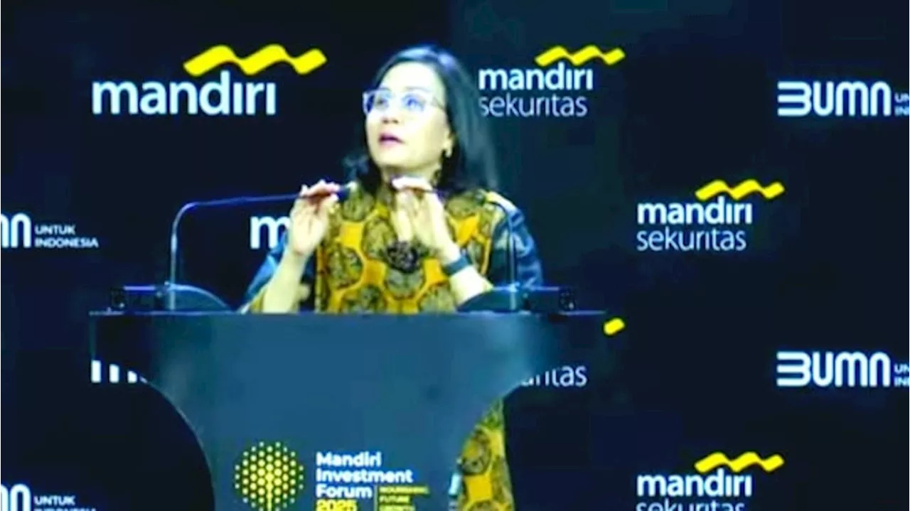 Sistem Coretax Banjir Keluhan, Sri Mulyani Janjikan Ini