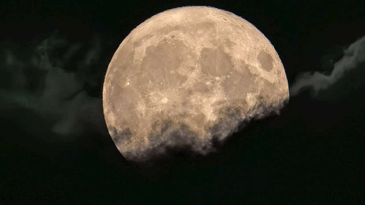 Vollmond im Februar 2025: Schlafe ich nun schlechter?