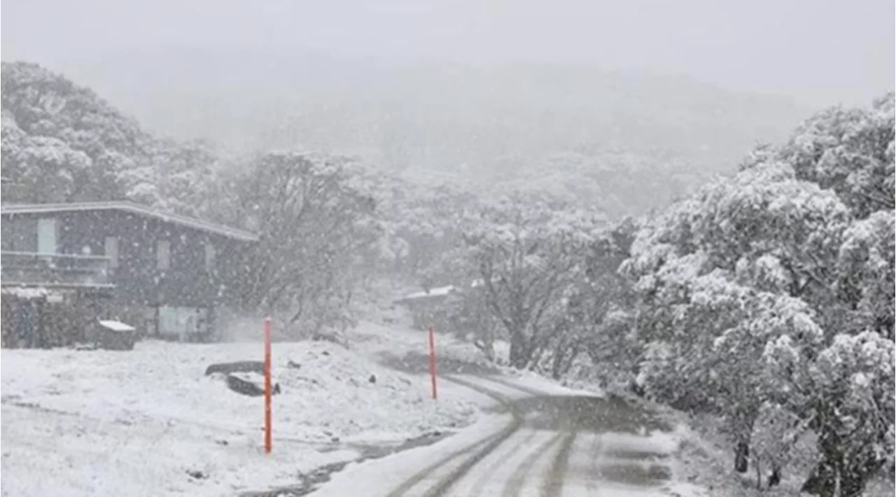 Winter Blast in Summer: Snowy Alps and Plunging Temperatures Hit Southeast Australia