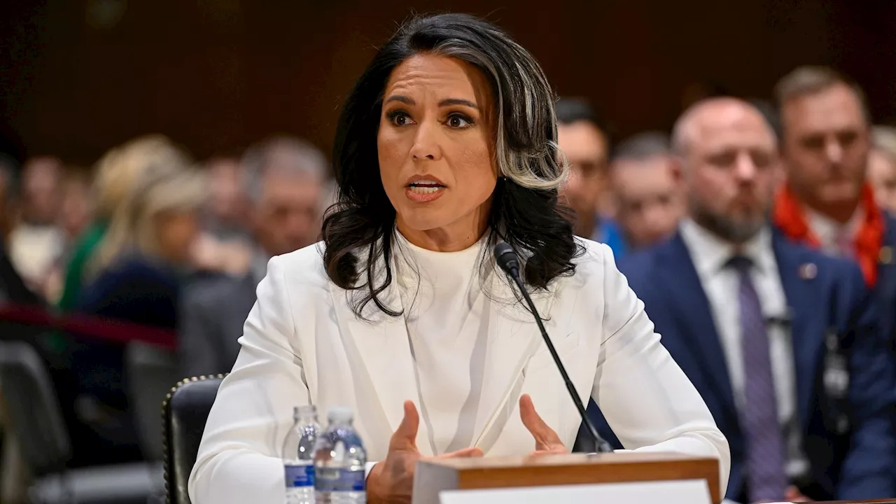 Gabbard Begins DNI Tenure at Munich Security Conference