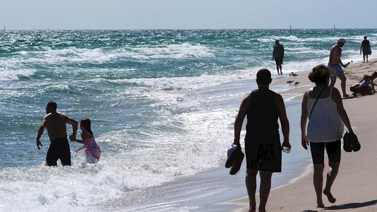 Mysterious Tar Balls Wash Up on South Florida Beaches