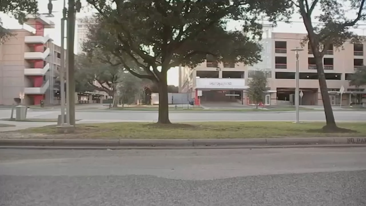 UH Students Plan Protest Over Spike in Campus Violence