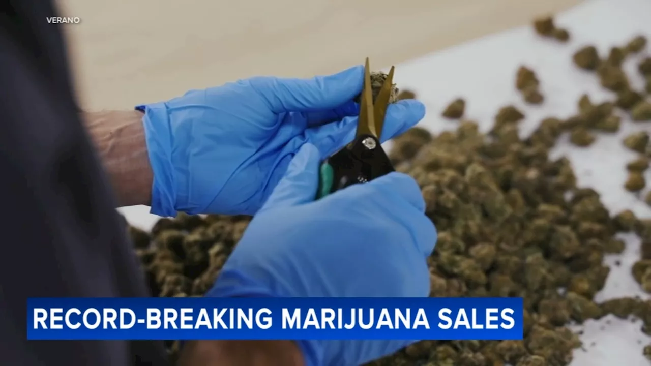 Illinois' Legal Marijuana Market Booms, Surpassing $2 Billion in Sales