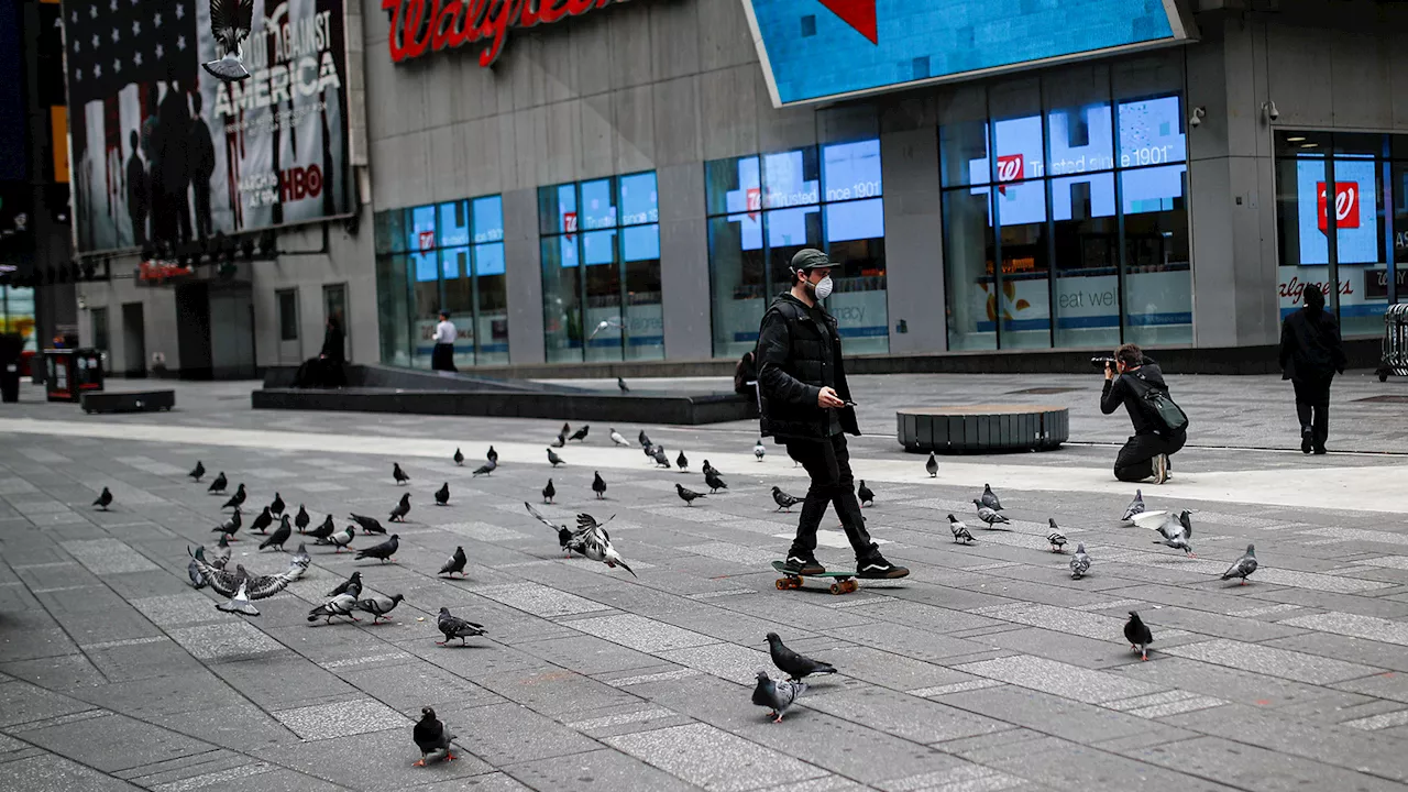 Bird Flu Concerns Spark Questions About Pigeons and Public Health