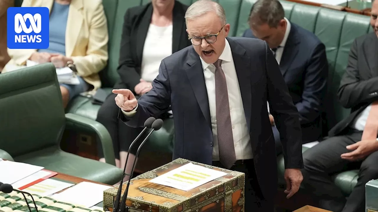 Federal politics live: Anthony Albanese says it's 'clear' nurses in antisemitic video committed 'crimes'