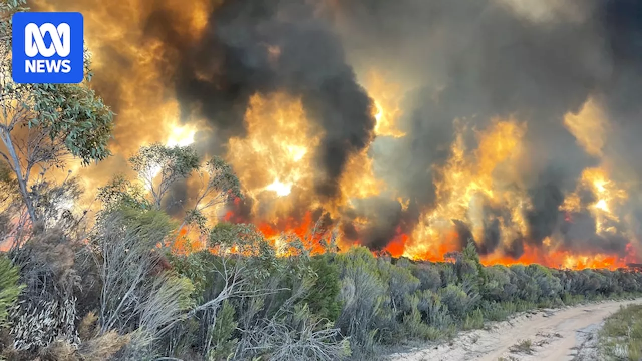 Total Fire Ban Issued for Parts of Victoria Amidst Extreme Heat