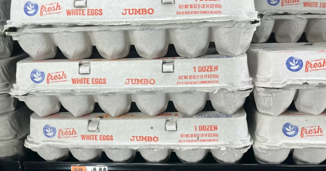 US Inflation Surges Unexpectedly in January, Driven by Egg Prices and Other Costs