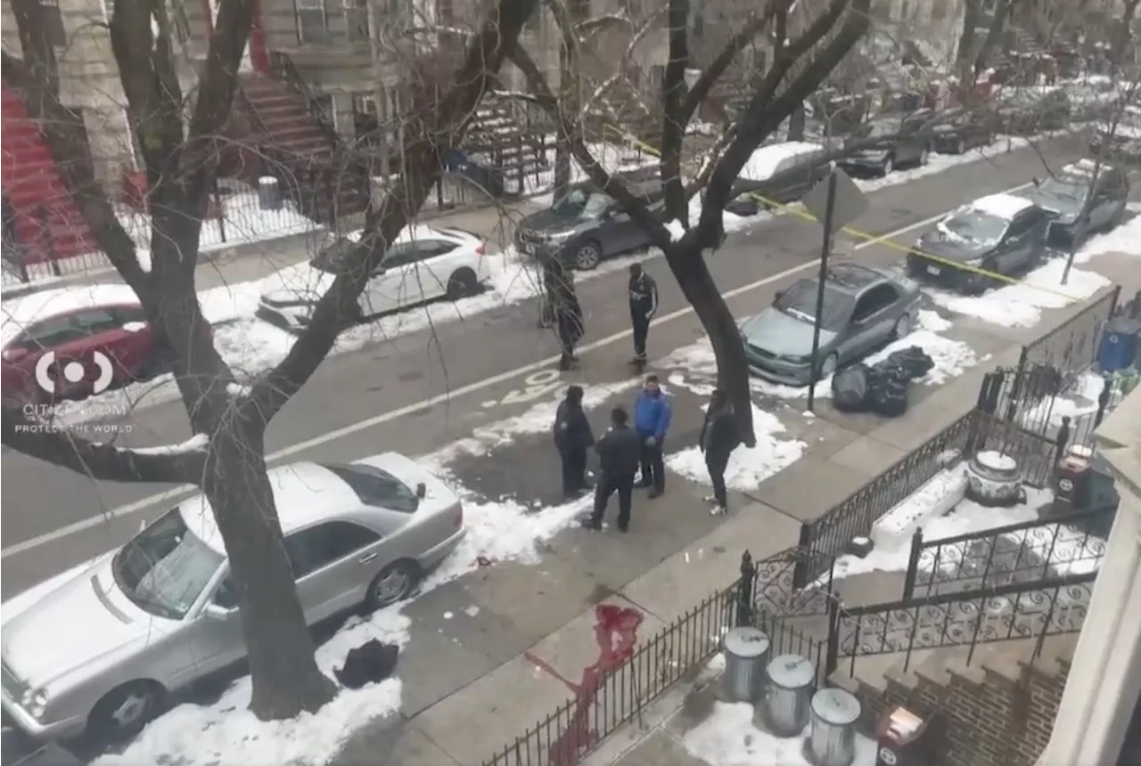 Two people shot dead at Brooklyn home in apparent murder-suicide: cops